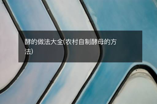 酵的做法大全(农村自制酵母的方法)