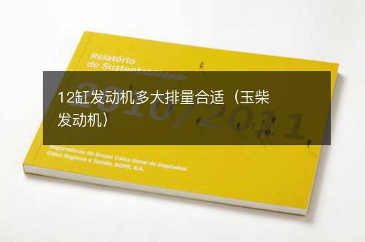 12缸发动机多大排量合适（玉柴发动机）