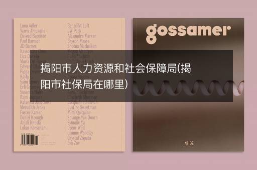 揭阳市人力资源和社会保障局(揭阳市社保局在哪里)
