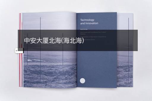 中安大厦北海(海北海)