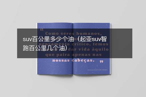 suv百公里多少个油（起亚suv智跑百公里几个油）