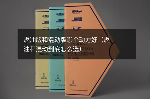 燃油版和混动版哪个动力好（燃油和混动到底怎么选）