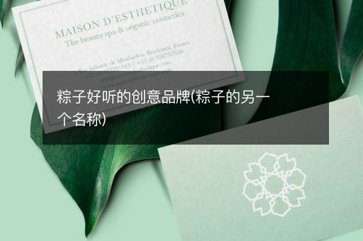 粽子好听的创意品牌(粽子的另一个名称)