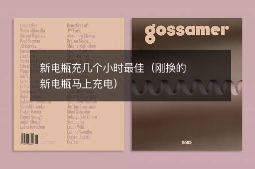 新电瓶充几个小时最佳（刚换的新电瓶马上充电）