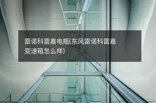 雷诺科雷嘉电瓶(东风雷诺科雷嘉变速箱怎么样)