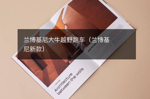 兰博基尼大牛越野跑车（兰博基尼新款）