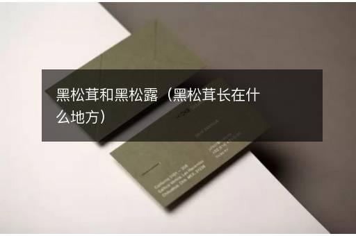 黑松茸和黑松露（黑松茸长在什么地方）