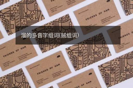 溜的多音字组词(贼组词)