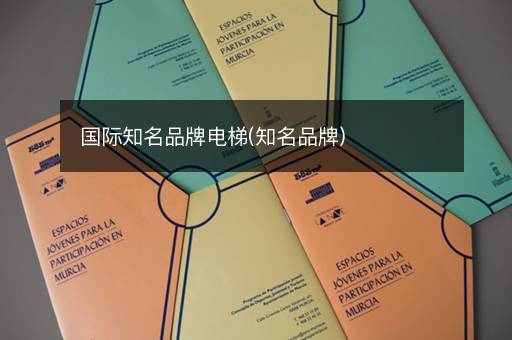 国际知名品牌电梯(知名品牌)