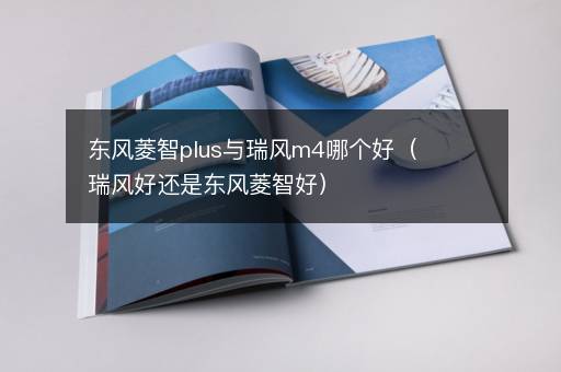 东风菱智plus与瑞风m4哪个好（瑞风好还是东风菱智好）