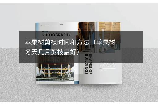 苹果树剪枝时间和方法（苹果树冬天几月剪枝最好）