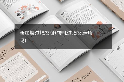 新加坡过境签证(转机过境签麻烦吗)