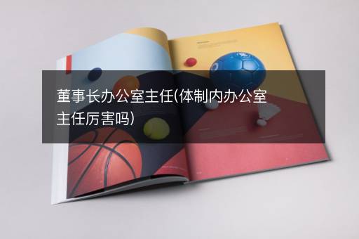 董事长办公室主任(体制内办公室主任厉害吗)
