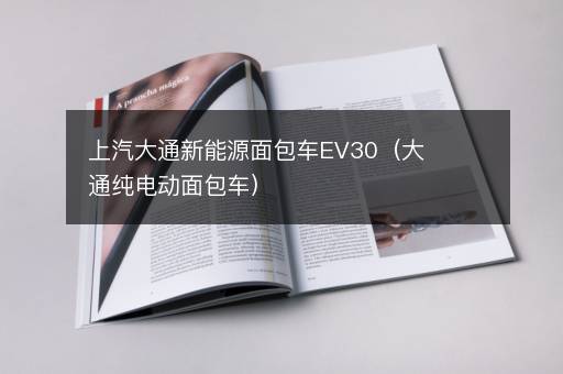 上汽大通新能源面包车EV30（大通纯电动面包车）