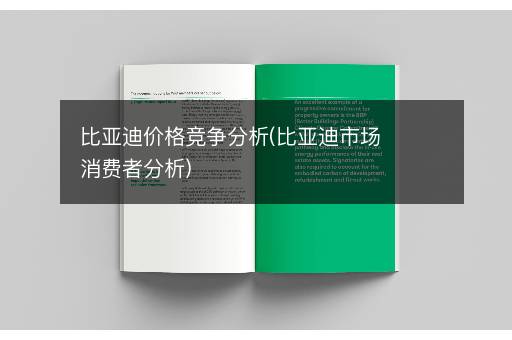比亚迪价格竞争分析(比亚迪市场消费者分析)