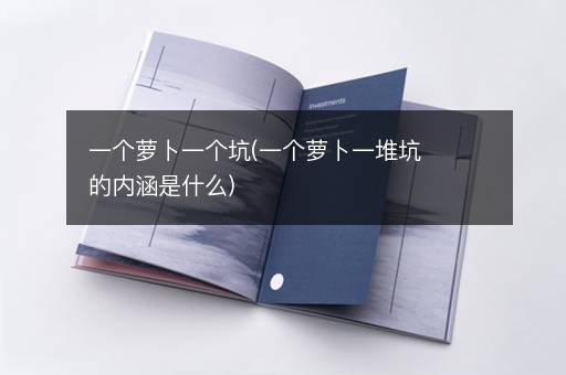 一个萝卜一个坑(一个萝卜一堆坑的内涵是什么)